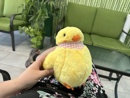 Duck from claw machine