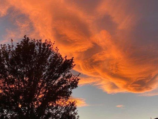 Photo Credit:: from my awesome HS teacher Judy Kelley