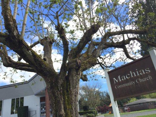 Machias Community Church