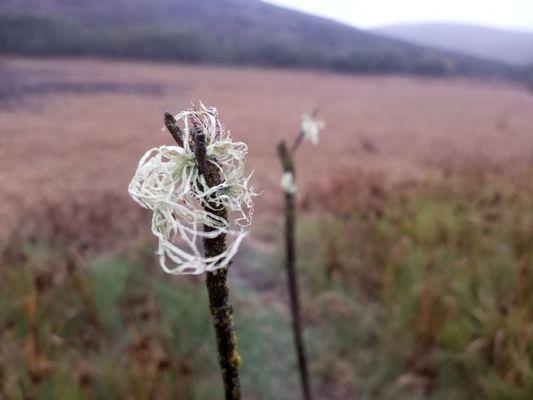 Harmony Headlands State Park
