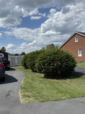 Holmes Brothers Landscaping