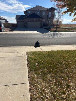 This is the one bag that weighs about 5lbs that they refused to pick up. SMH-do your job.