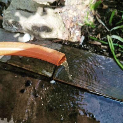 Lincoln Park Sewer and Drain