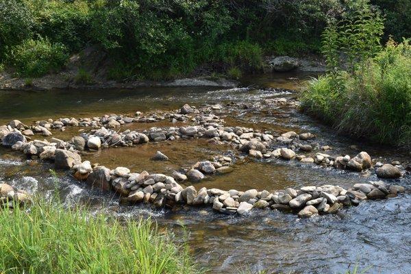 The "fork" in Stoney Fork Creek