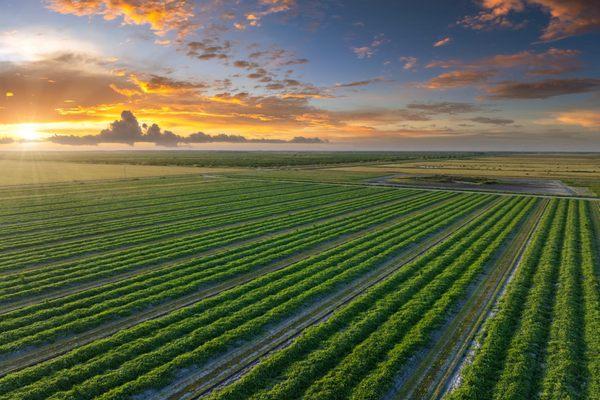 Chris Orr - National Land Realty