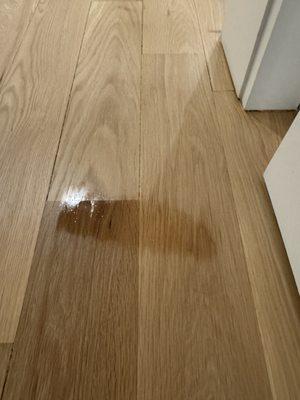 Valenti Flooring