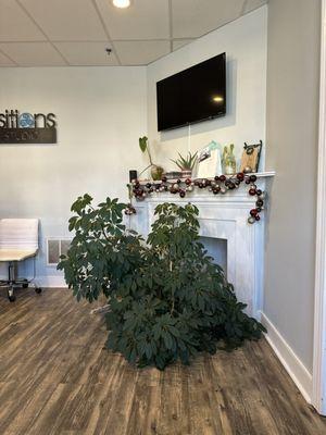 Transitions Float RVA Midlothian