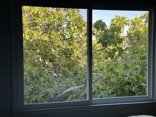 Advanced Window Systems