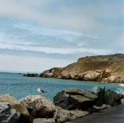 Carlene A Foldenauer, CCHT