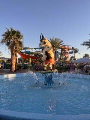 08/17/2025 Country in The Cove Music Festival 21+