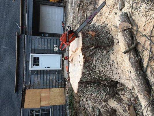 A. Kreta & Son Tree & Stump Removal