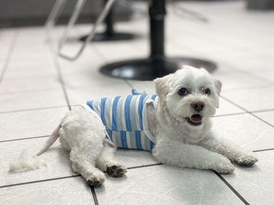 Lucchino's Hair Studio