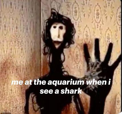 Bowditch Middle School