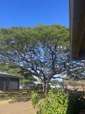 Waipahu Intermediate School