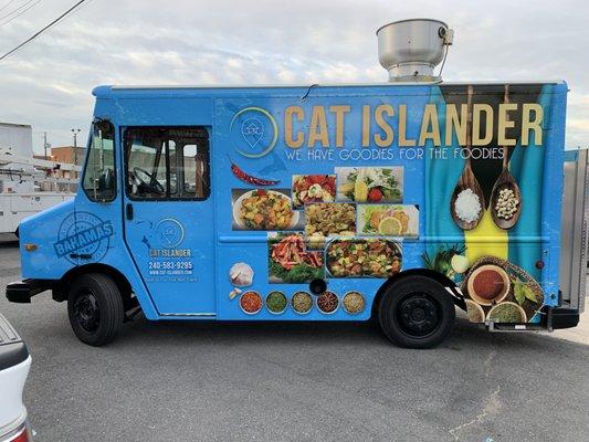 Cat Islander