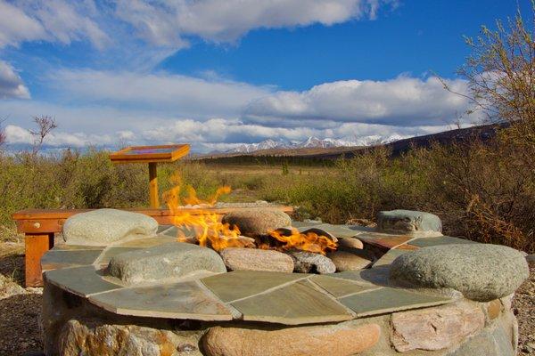 Beautiful day out in the wild