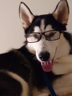 Qci Behavioral Health