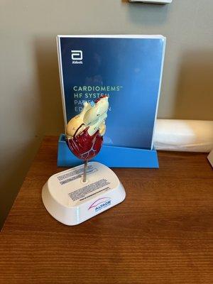 Thomas G Benvenuti, MD, FACC