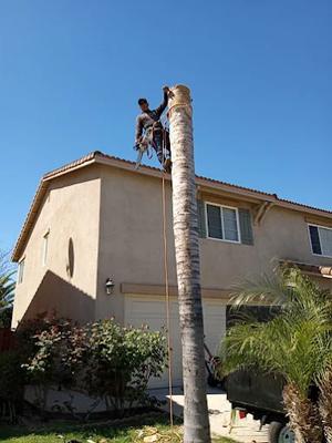 Martinez Landscaping