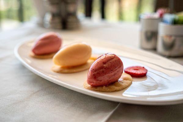 Seasonal Sorbets