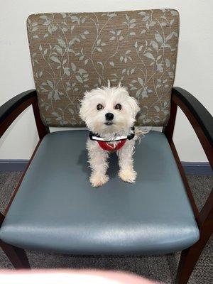 Mass General Beacon Hill Primary Care