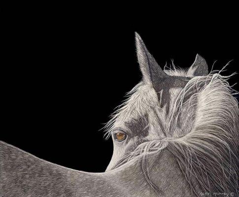 Alex Murray Fine Art