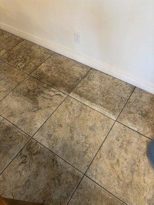 Traymark Ultra Cleaning Systems