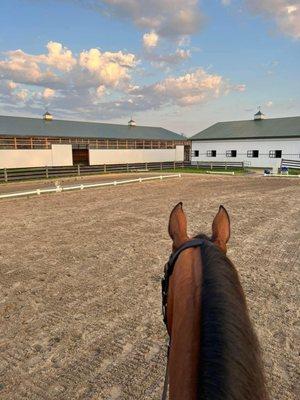 Magnolia Creek Stables