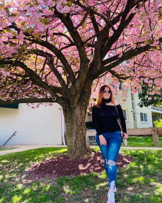 Woodmont Park Apartments