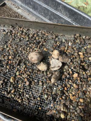 Puyallup Bark Supply