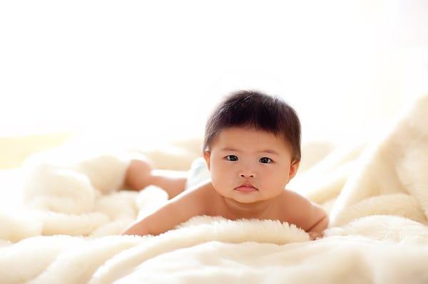 Joanne H Lee Photography