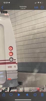 A & M Limousine Service