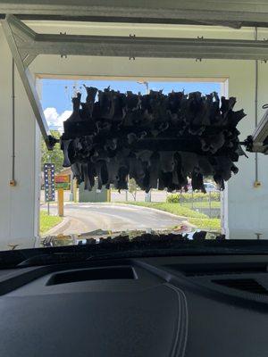 Isn't she beautiful???