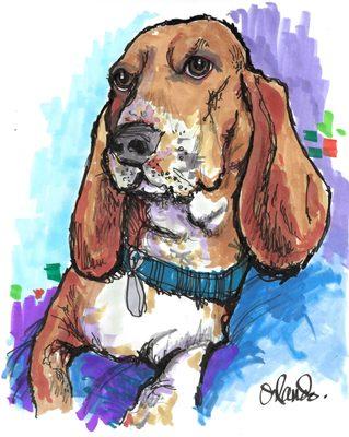 Marianne Orlando Illustrations