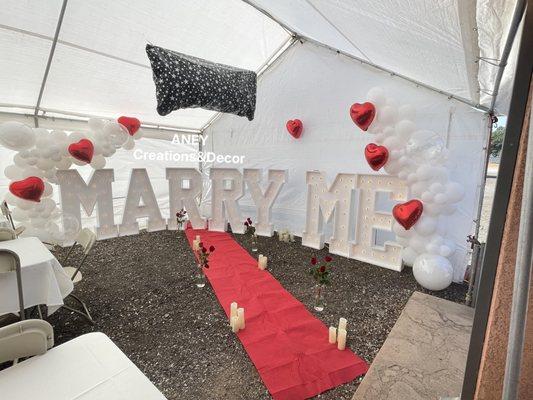 Aney Creations And Decor