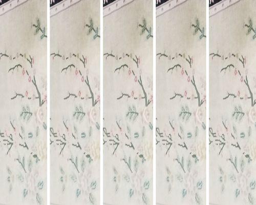 Hackensack Carpet Cleaning