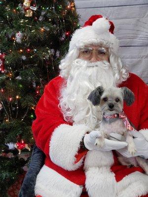 All About Pets Grooming & Boarding