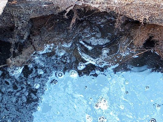 Budget Drain and Sewer Rescue