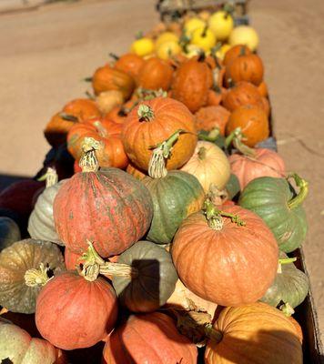 Apple Annie's Produce & Pumpkins