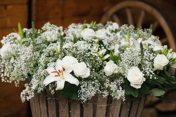 Britt and Bixby Events