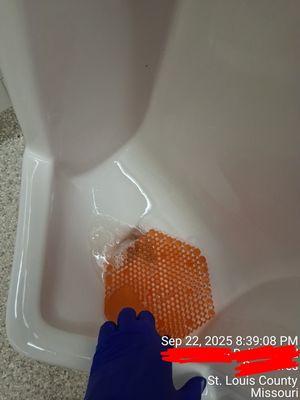 Inside urinal cleaning