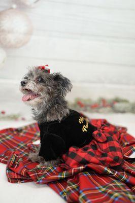 Darkechilde Photography