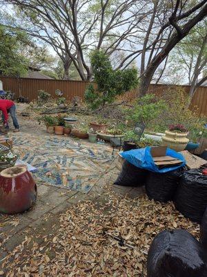 Star North Texas Landscape