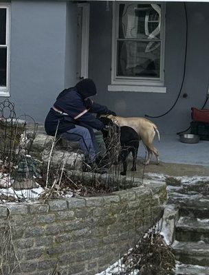 Nahant's Best letter carrier ever !