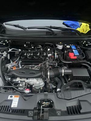 Shines Well Car Detailing