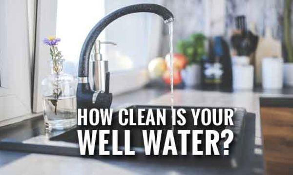 The Water Specialist