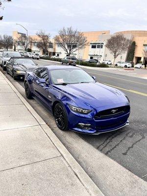 Top Quality Detailing