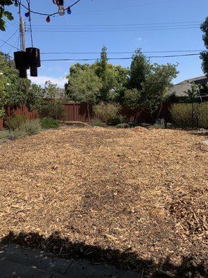 San Jose Yard Cleanup