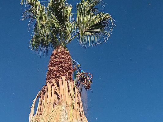The Family Garden Corner