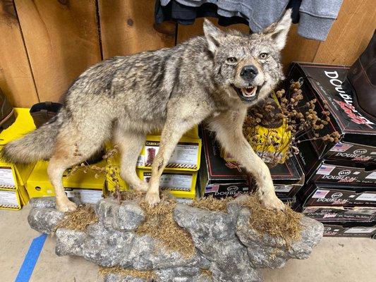 Gumpy's Creekside Cabin